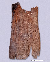 屏風藏品圖，第1張